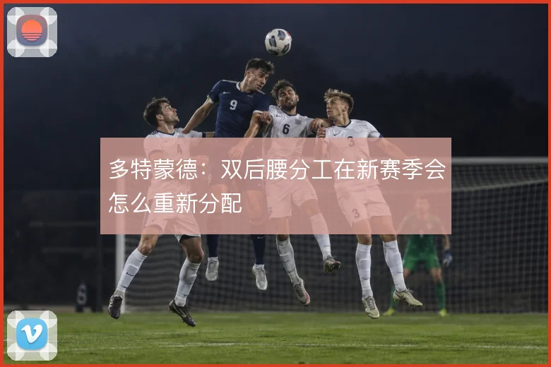 多特蒙德：双后腰分工在新赛季会怎么重新分配