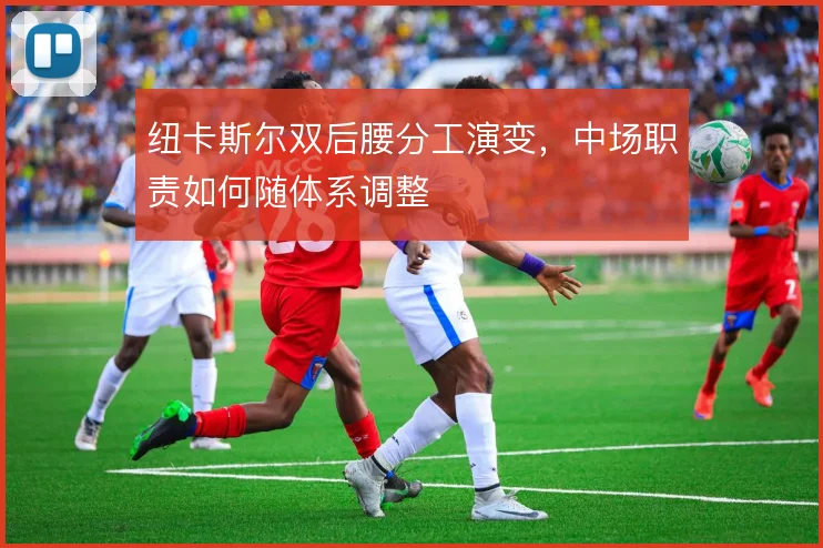 纽卡斯尔双后腰分工演变，中场职责如何随体系调整